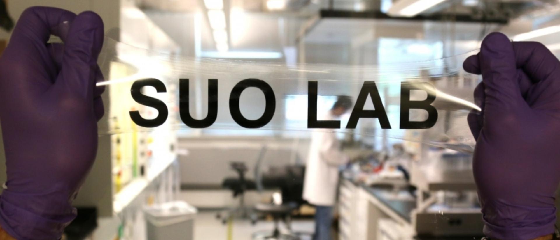 Suo Lab
